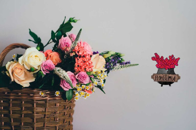 Flores Para San Valentín